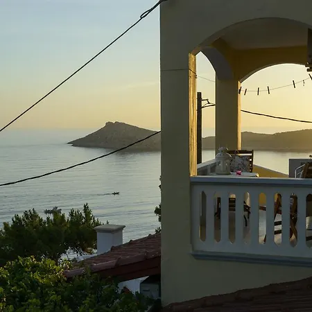 Melina's Sunset Myrties