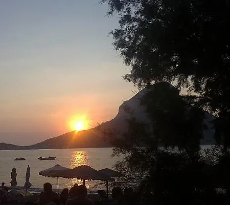 Melina's Sunset Myrties