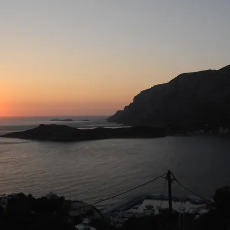 Melina's Sunset Myrties