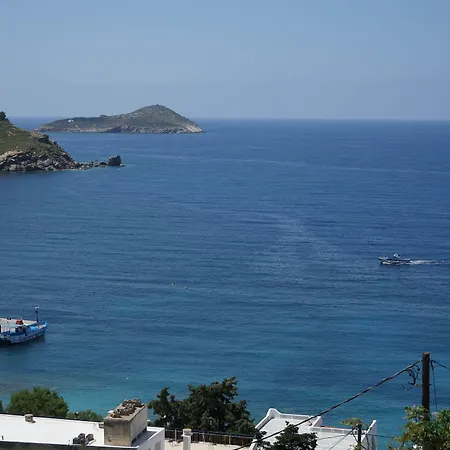 Melina's Sunset Myrties