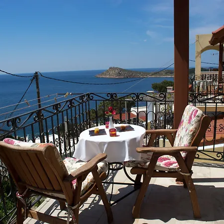 Melina's Sunset Myrties