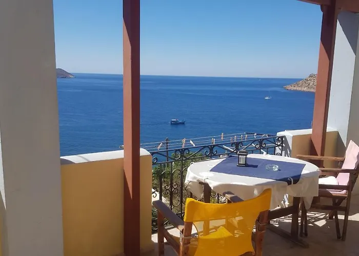 Melina's Sunset Myrties