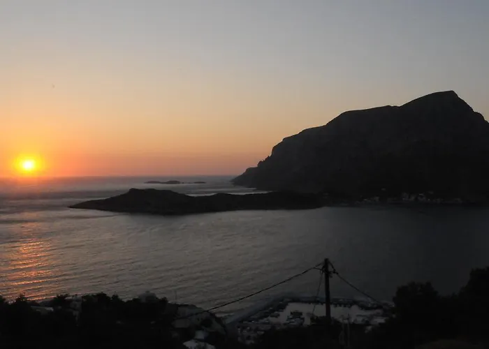 Melina's Sunset Myrties