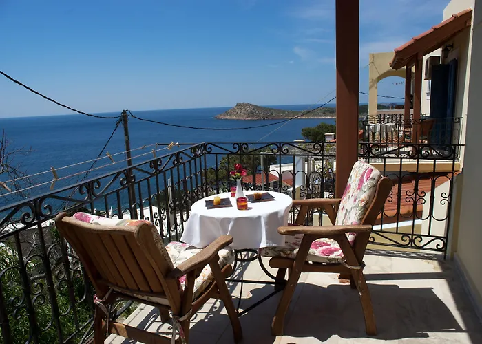 Melina's Sunset Myrties